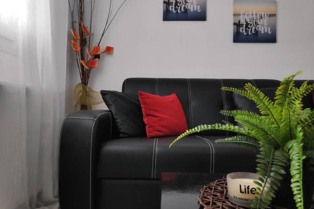 מטהמורפוסי Iris Room מראה חיצוני תמונה