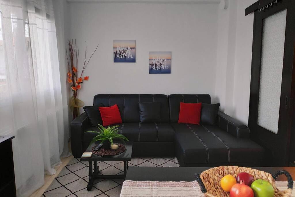מטהמורפוסי Iris Room מראה חיצוני תמונה
