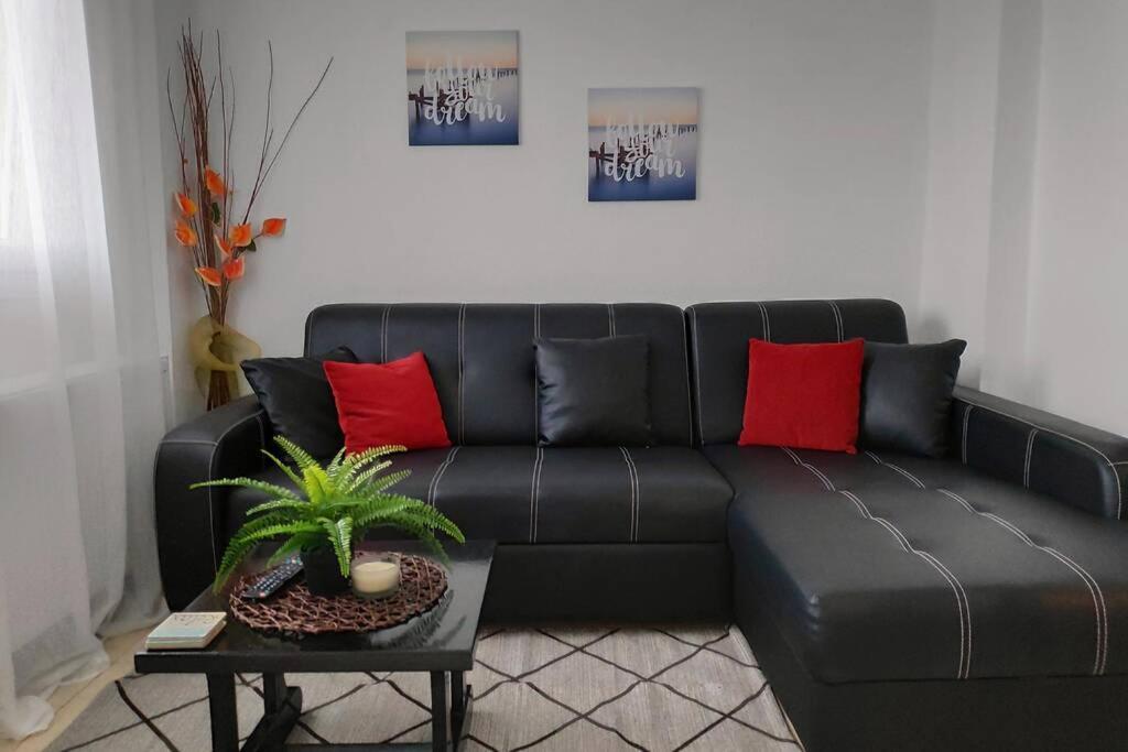 מטהמורפוסי Iris Room מראה חיצוני תמונה