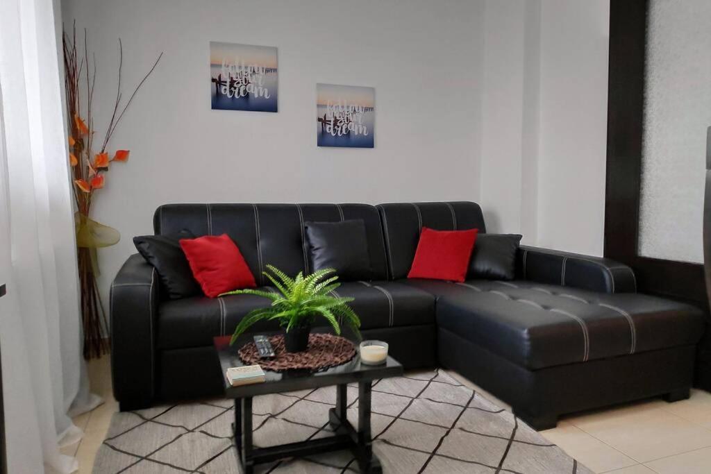 מטהמורפוסי Iris Room מראה חיצוני תמונה