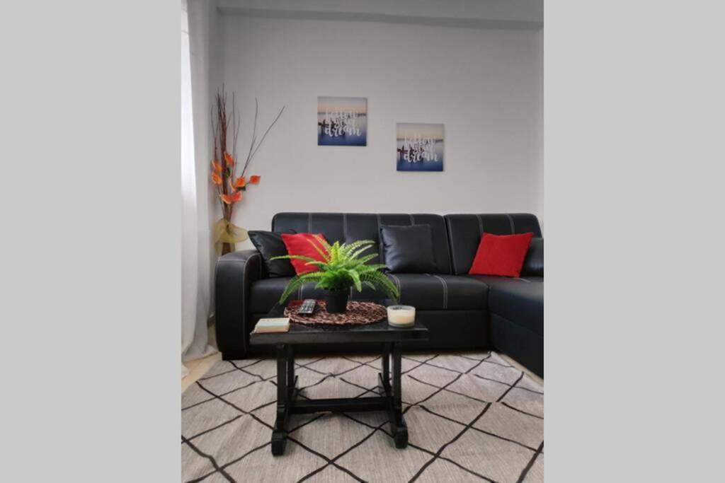 מטהמורפוסי Iris Room מראה חיצוני תמונה